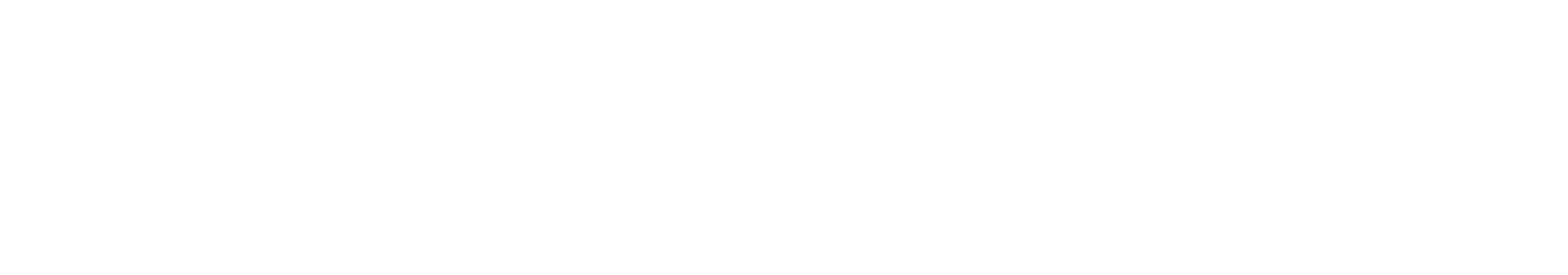 Performance Tire